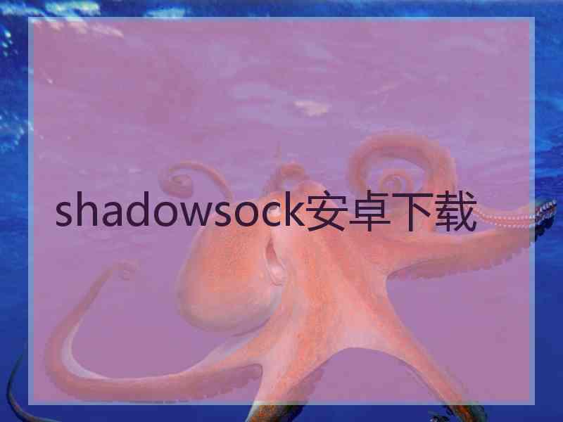 shadowsock安卓下载