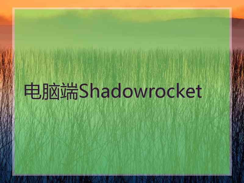电脑端Shadowrocket