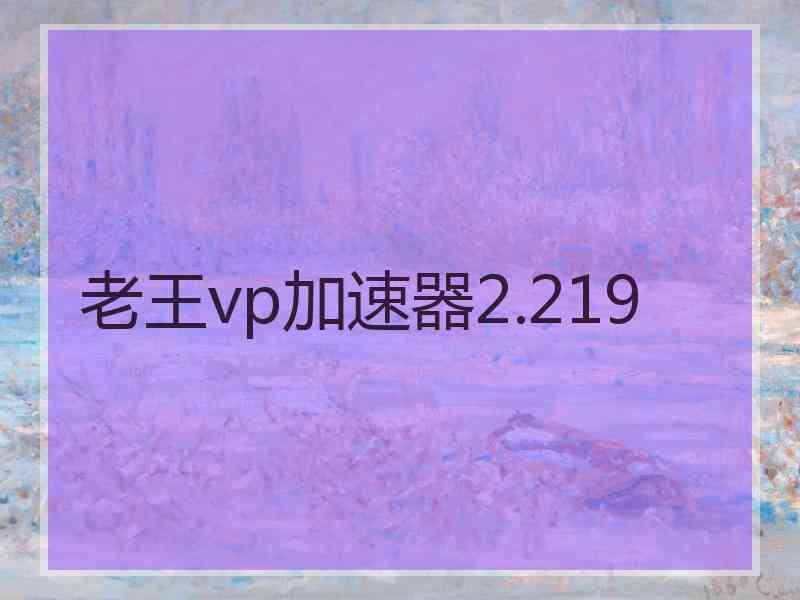 老王vp加速器2.219
