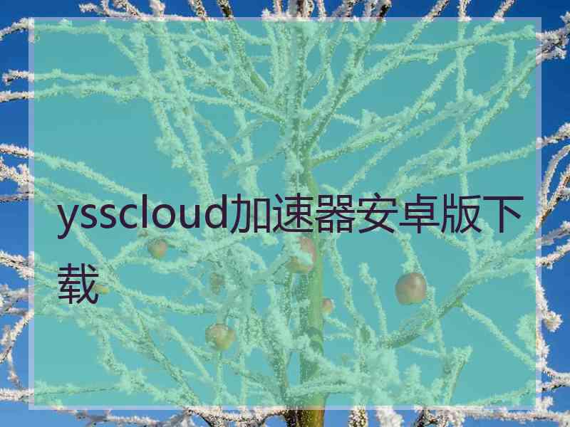 ysscloud加速器安卓版下载