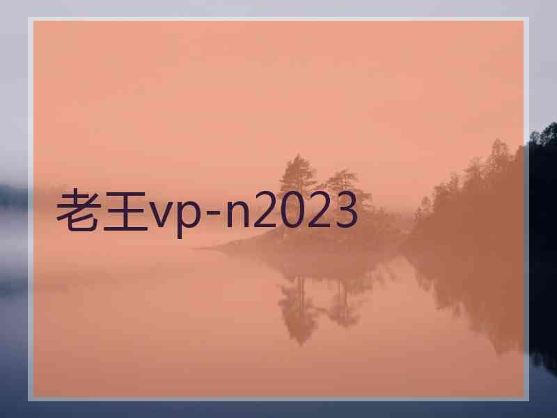 老王vp-n2023