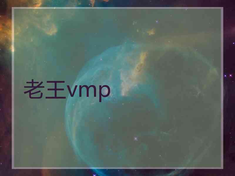 老王vmp