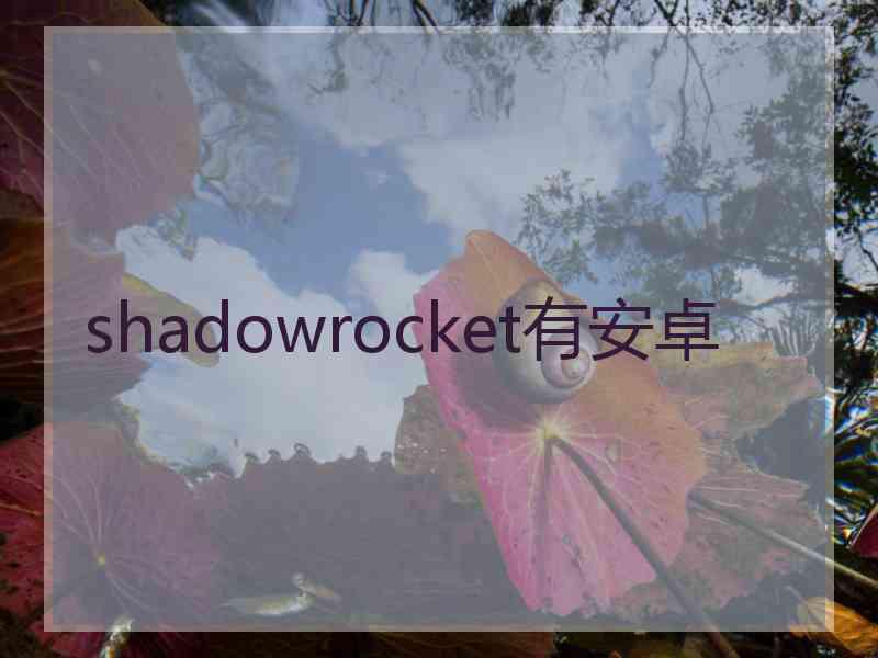 shadowrocket有安卓