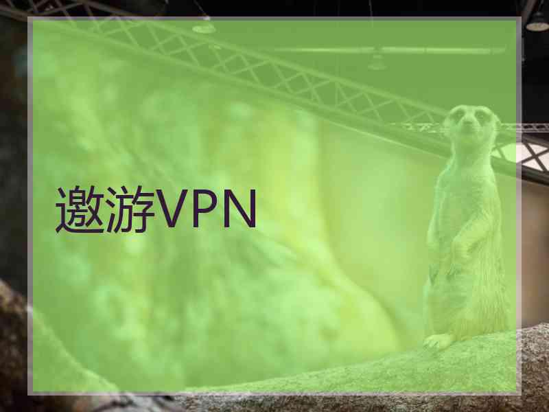 邀游VPN