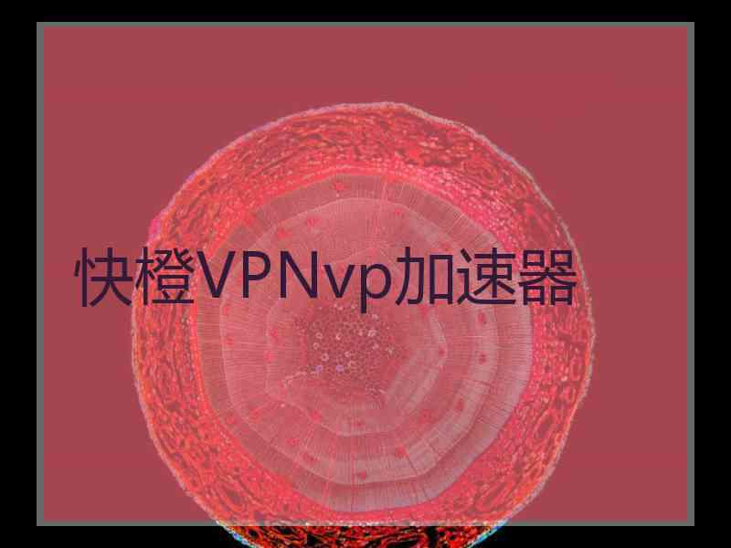 快橙VPNvp加速器